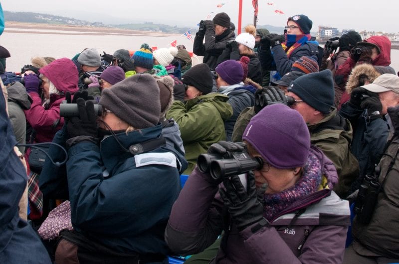 Stuart LIne Cruises - Bird Watching Cruise