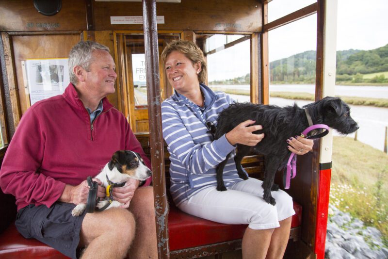 Seaton tramway dog friendly