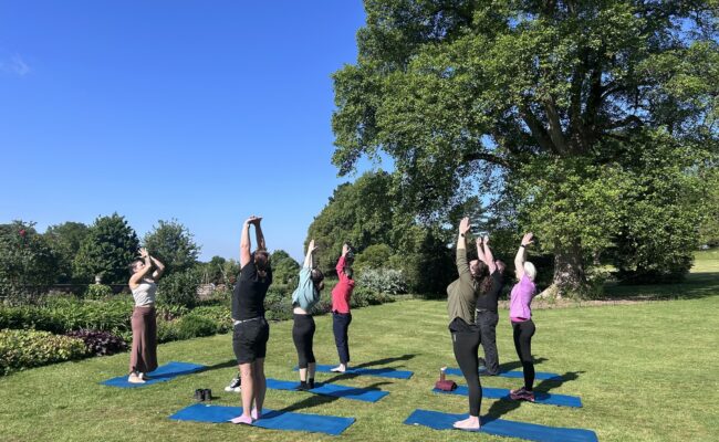 A groups of participants taking part in a yoga class in the garden
