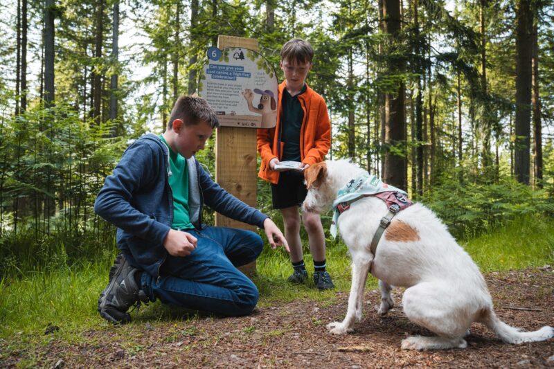 Children and their dog trying a challenge on the Forest Walkies trail