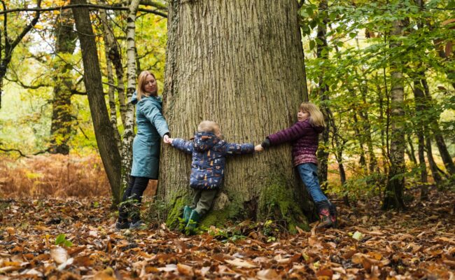 Family hugging a huge forest tree