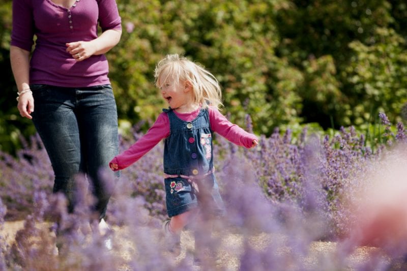 NT Killerton family in garden