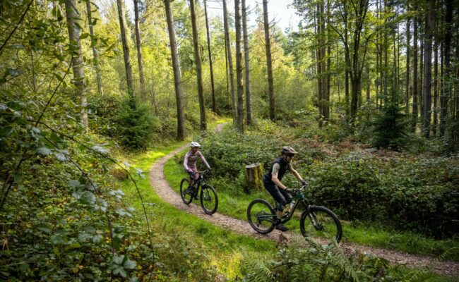 Two cyclists on a gentle forest trail