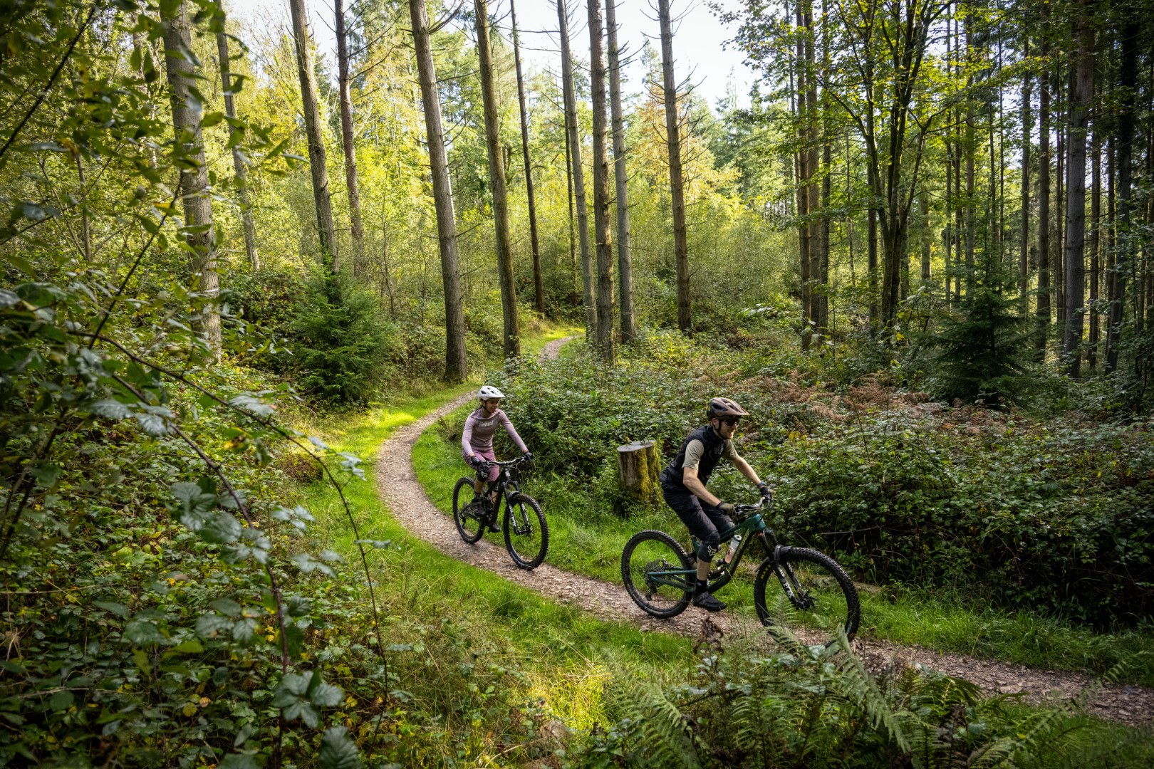 Two cyclists on a gentle forest trail