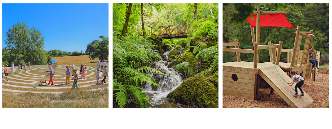 Canonteign Falls | Family Day Out | Devon's Top Attraction