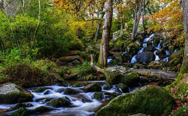 Becky Falls Devon