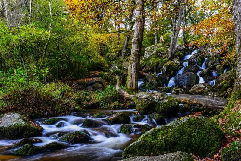 Becky Falls Devon