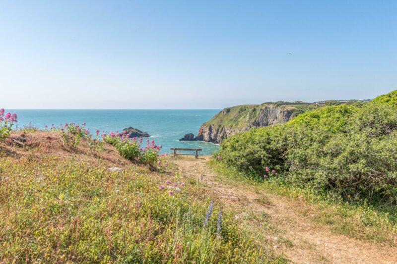 Berry Head Nature Reserve Riv. Bay Holiday park