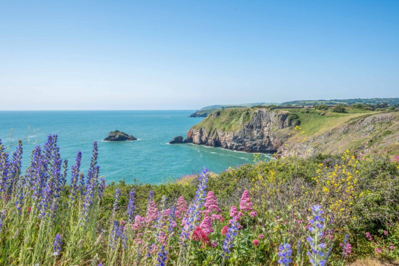 Berry Head Nature Reserve- Riviera Bay Holiday Park