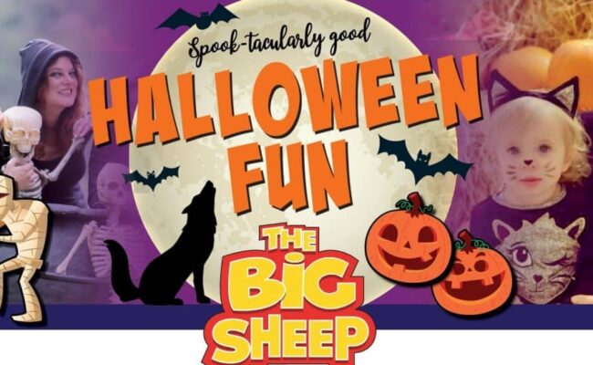 Big Sheep Oct half term