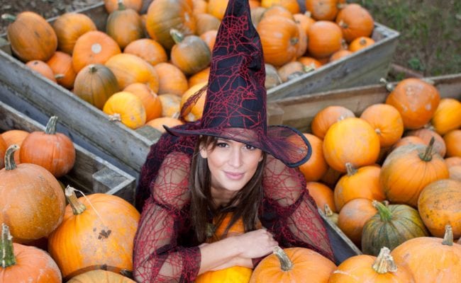 Witch in amongst the pumpkins at Big Sheep