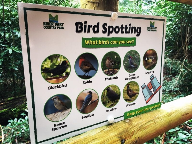 Bird spotting sign