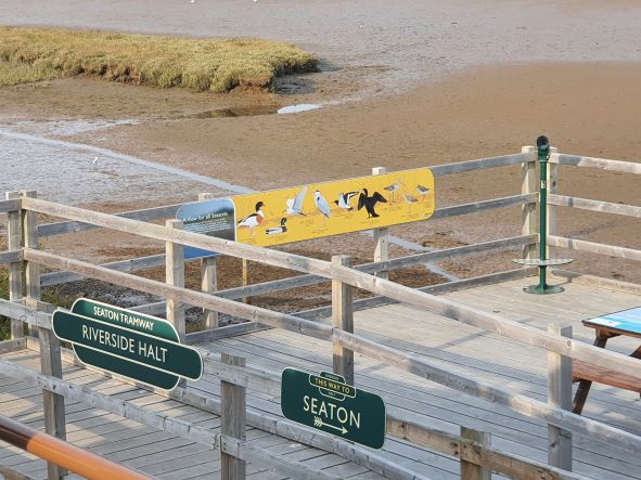 Birdwatching tram Riverside Halt seaton Tramway