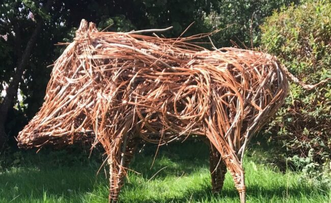 boar made of wicker placed outdoors in the sun on a grassy background.