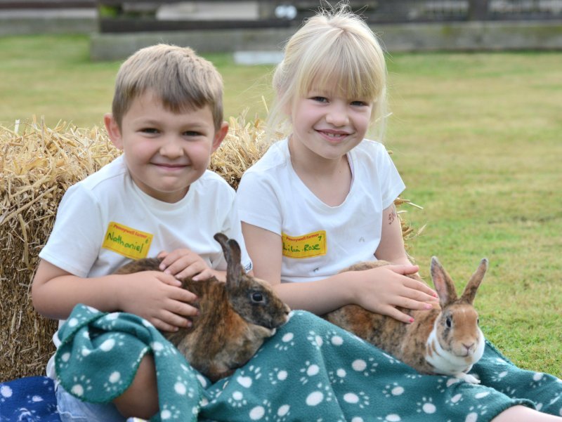 Bunny_kids at Pennywell Farm