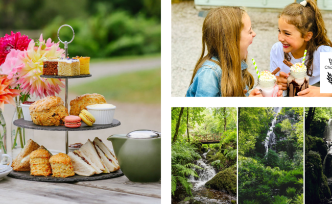 Canonteign Falls gift voucher