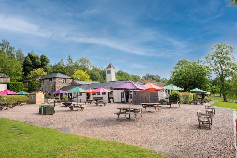 Canonteign Falls: The Perfect Family Day Out in Devon – Dog-Friendly!