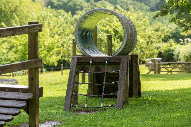 Canonteign Falls: The Perfect Family Day Out in Devon – Dog-Friendly!