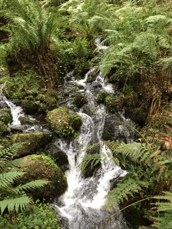 canonteign falls