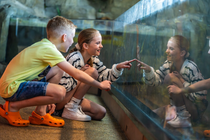 National Marine Aquarium