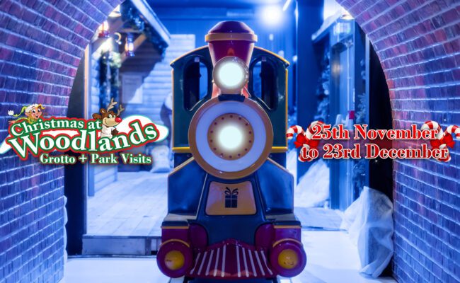 Christmas Grotto Daytime Visits