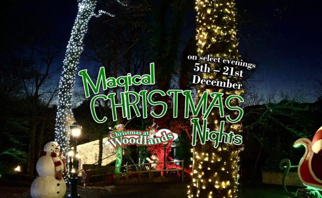 Christmas Nights at Woodlands