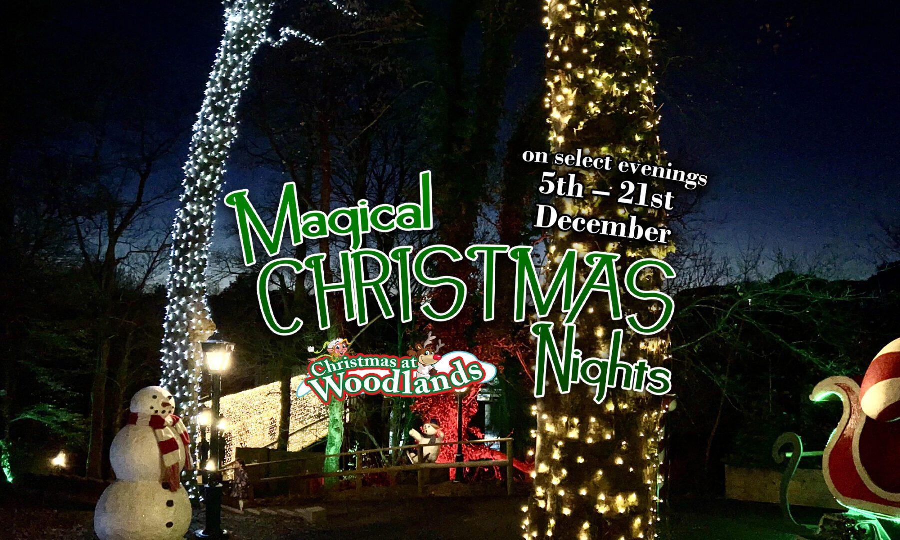 Experience a Magical Christmas Evening Grotto adventure at Woodlands!