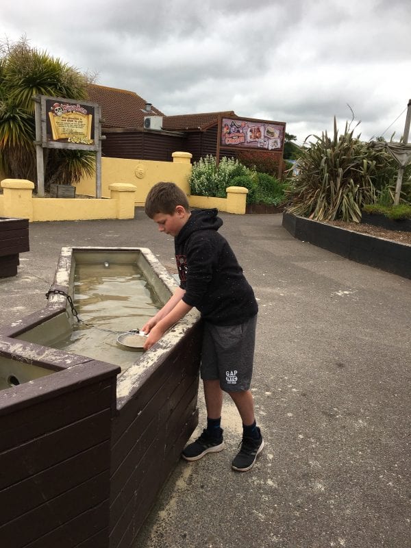 Crealy panning for gold - Devon's Top Attractions 