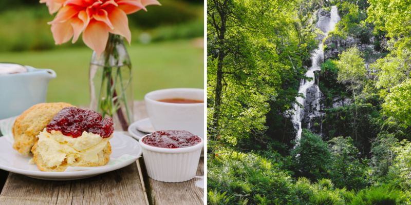 Canonteign Falls cream tea experience