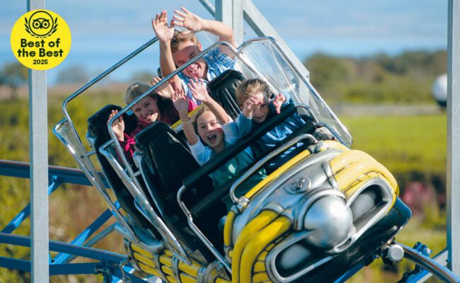 family enjoying roller coaster