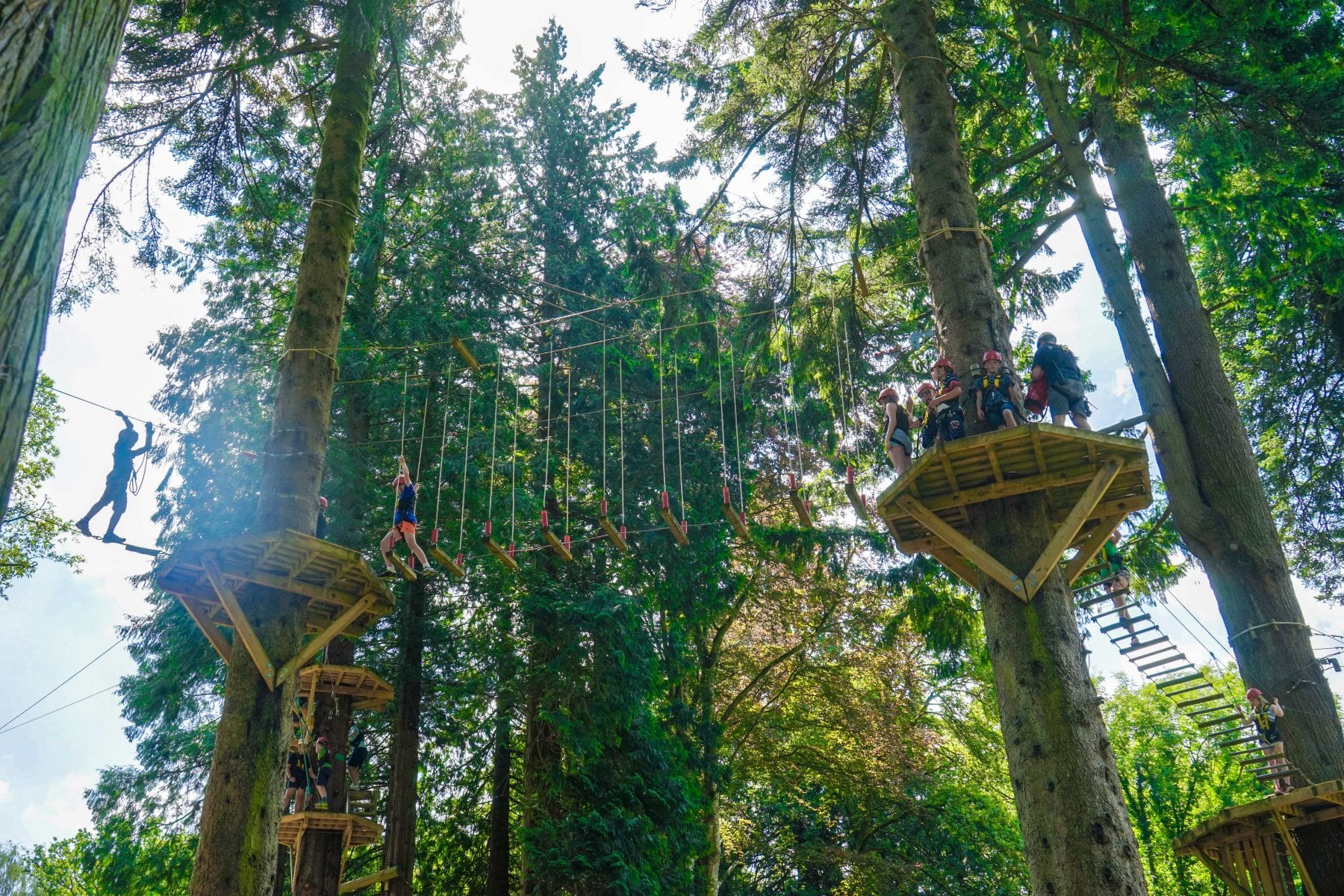 People exploring high up in the trees on the high ropes course.