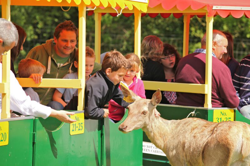 Deer Safari World of Country Life