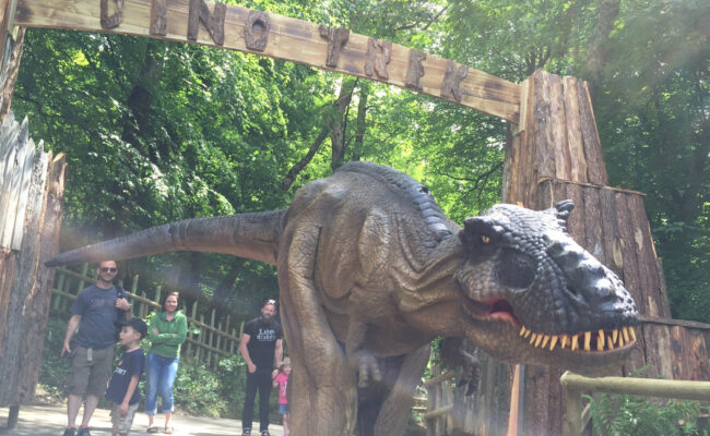 Meet T-Rex at Woodlands