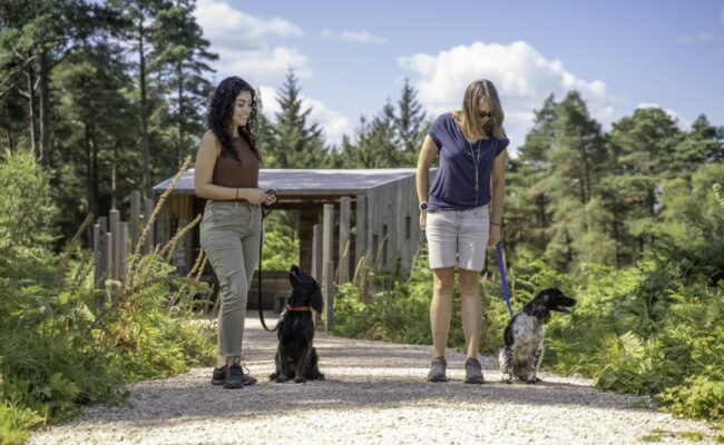 Two visitors stand with dogs on leads. There is a wooden bird hide behind them.