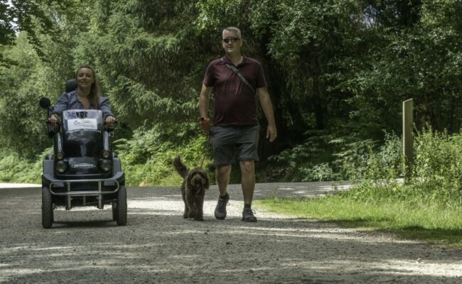 A male visitor with a brown dog on a lead is walking with a female visitor using a mobility scooter