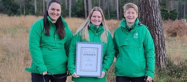 Dogfriendly attraction of the year Haldon Forest...