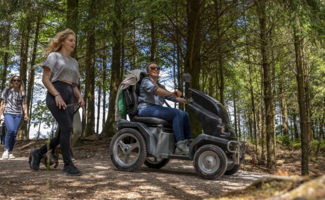 A young woman walks next to a woman on a mobility scooter in a conifer plantation