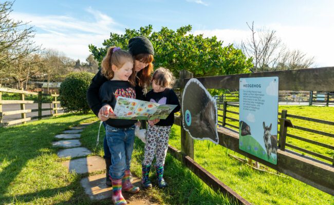 Donkey Sanctuary drizzles trail