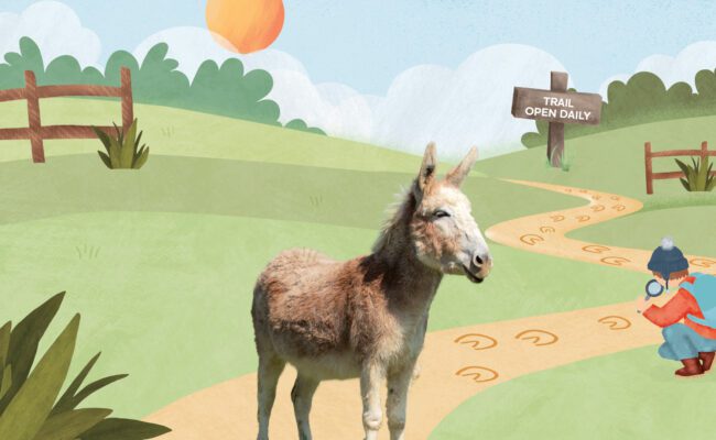 Feb trail at Donkey Sanctuary