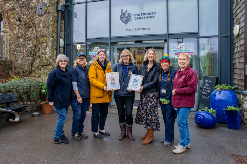 PT Star Award for Donkey Sanctuary