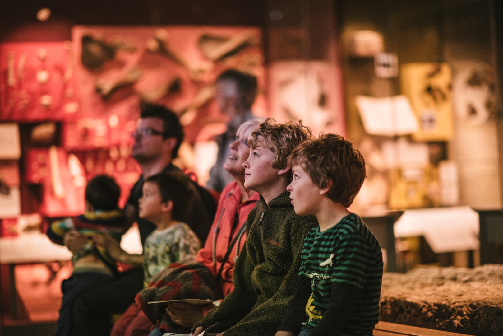 A family seated in a museum gallery, looking up at something. Behind them objects such as bones and fossils are visible behind glass