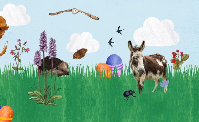 Easter eggs and wildlife illustrated with drizzle