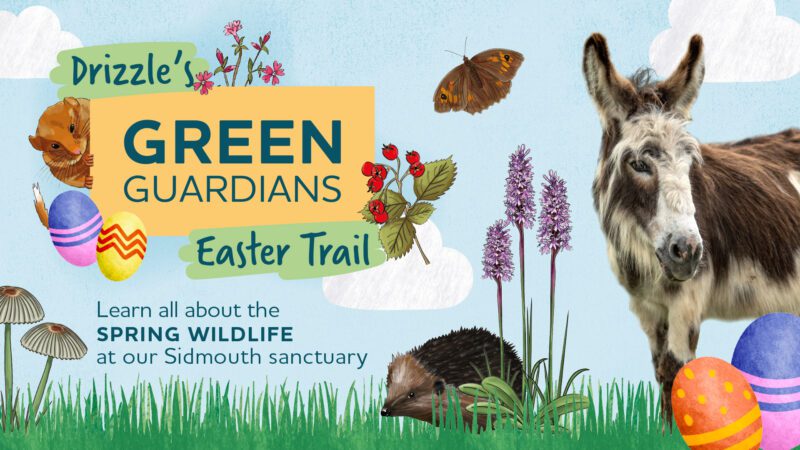 Easter trail poster