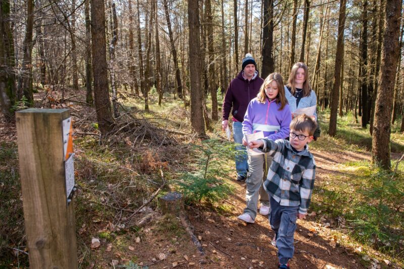 Family approaching an orienteering control point in a forest
