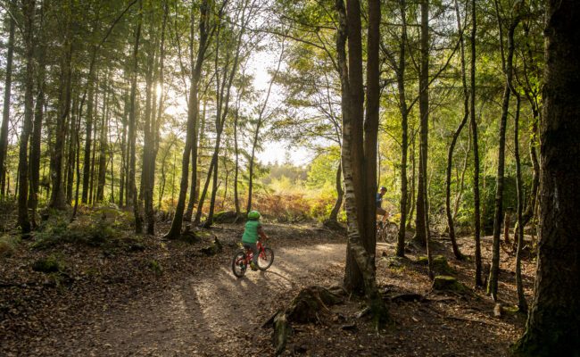 A child cycling on a forest trail among the trees