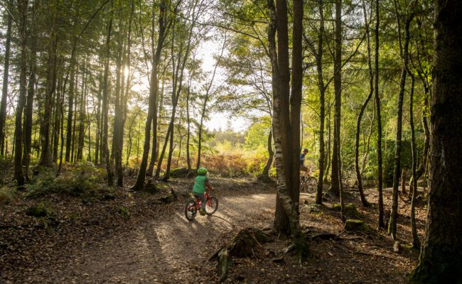A child cycling on a forest trail among the trees