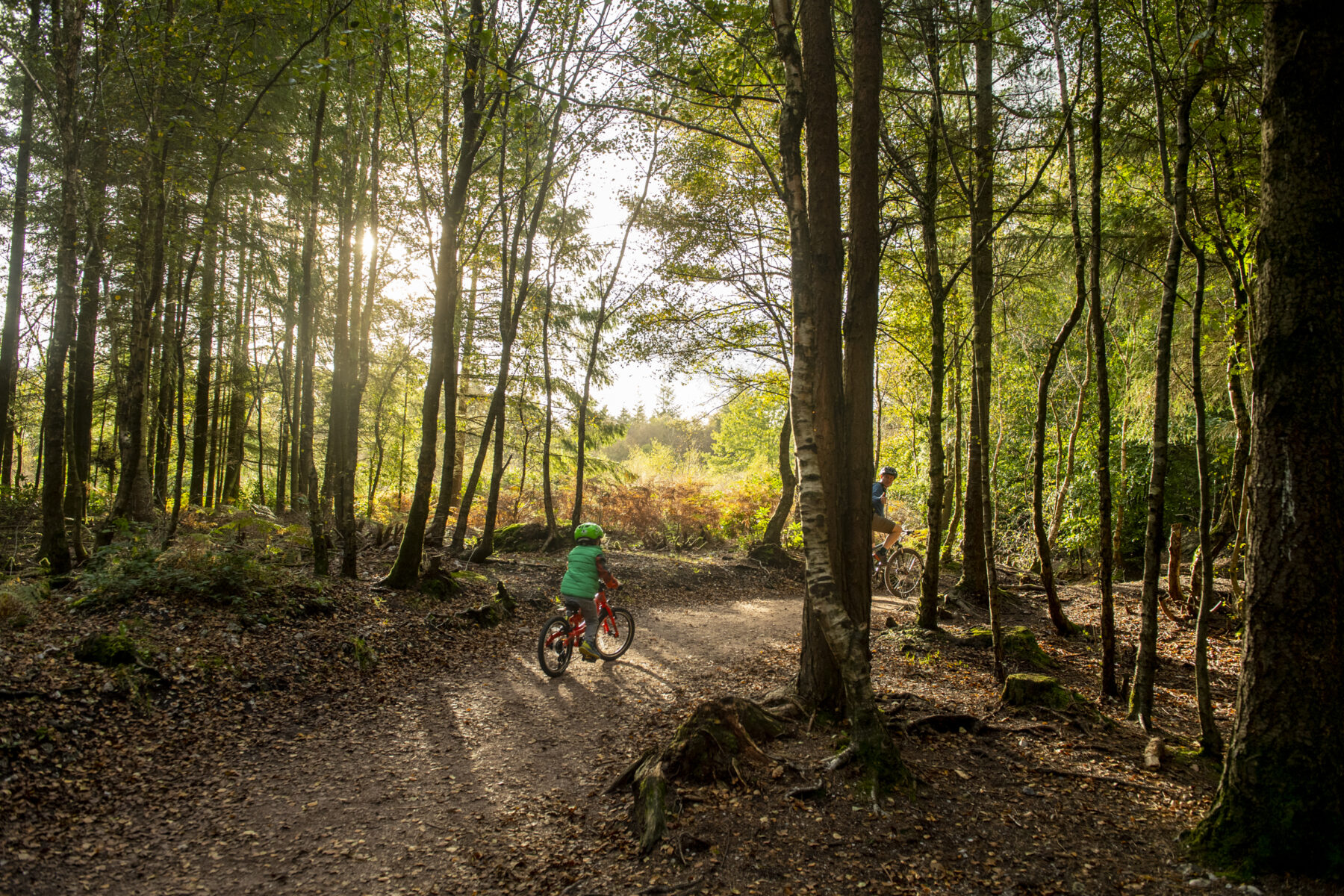 A child cycling on a forest trail among the trees