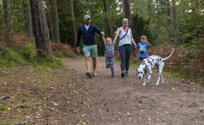 A family and their dog walking on a forest trail