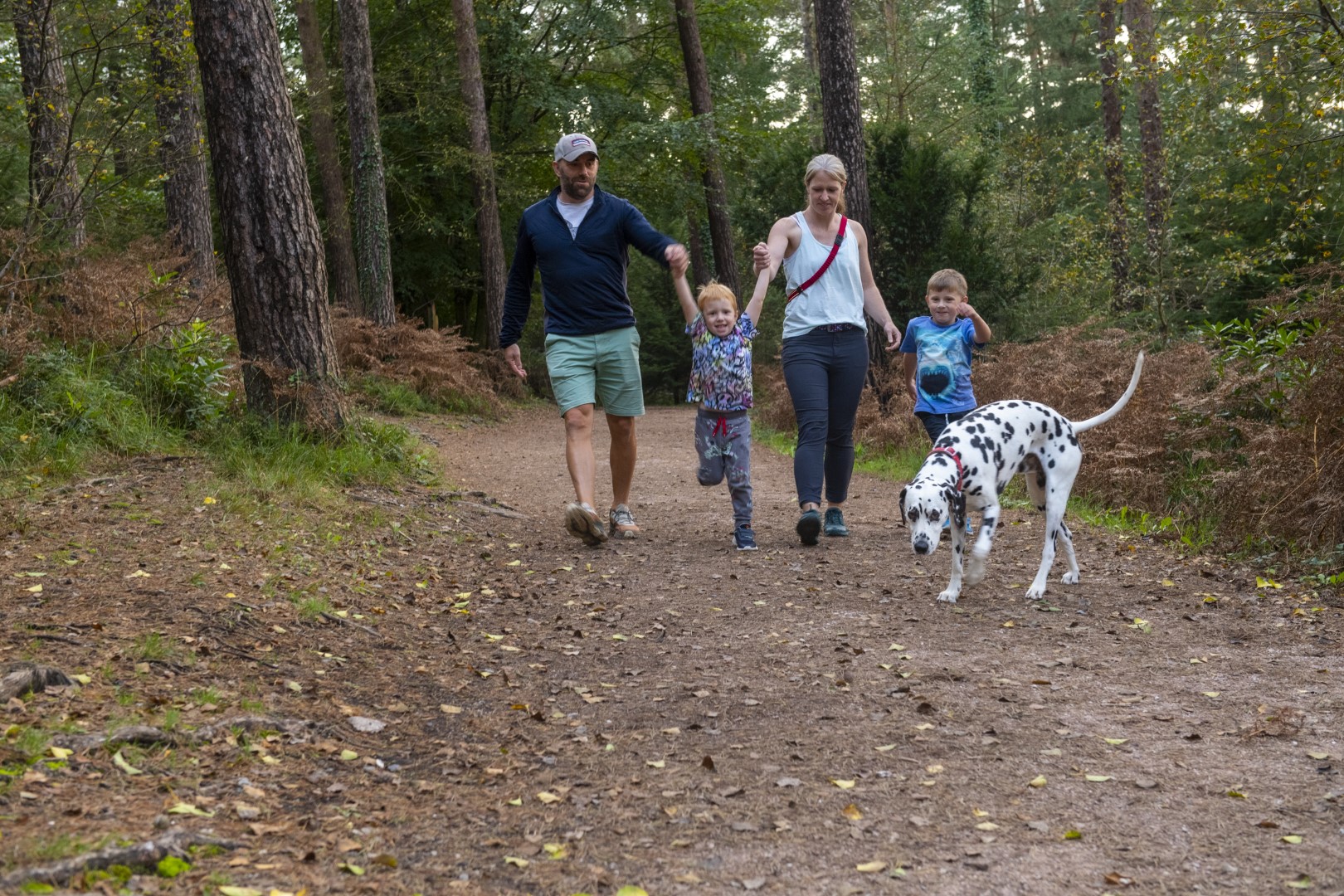 A family and their dog walking on a forest trail