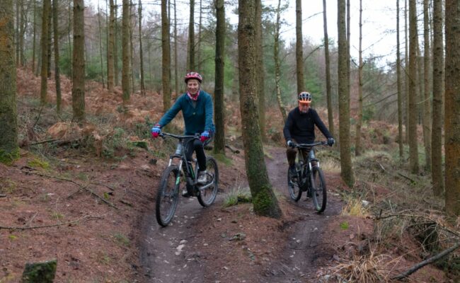 A middle-aged man and woman ride bikes through the forest